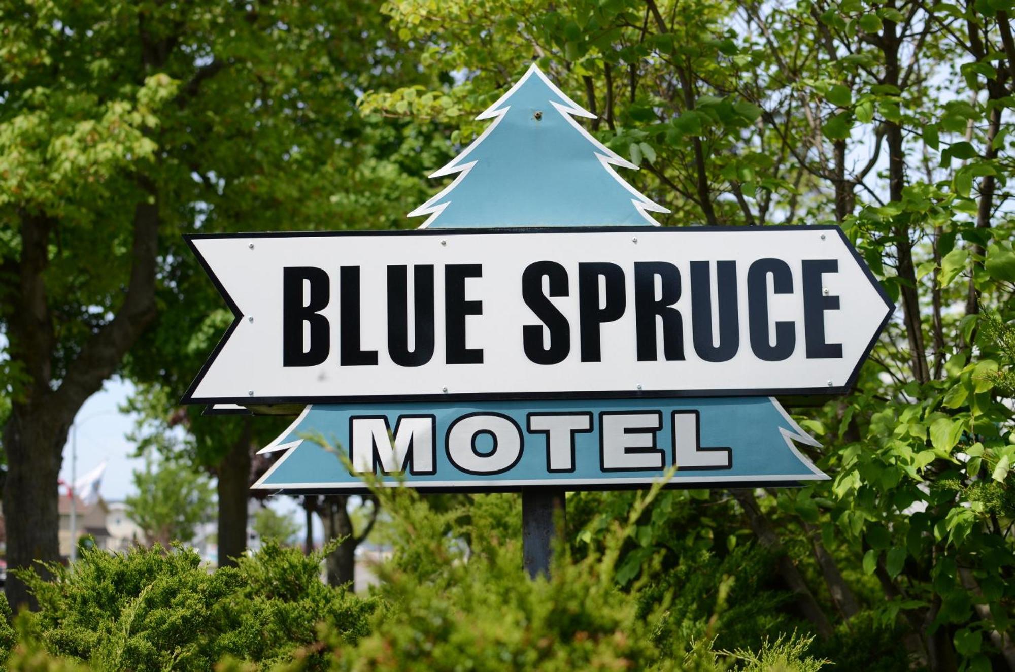 Ludington Blue Spruce Inn Zewnętrze zdjęcie